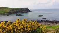 Giants Causeway