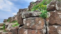 Giants Causeway