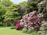 3. Reisetag – Wanderung im Glenveagh-Nationalpark – Blütenpracht am Glenveagh Castle