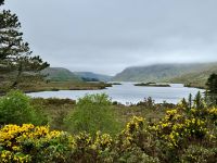 3. Reisetag – Wanderung im Glenveagh-Nationalpark – Blick ins Tal von Glenveagh