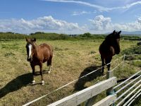 5. Reisetag – Wanderung auf der Halbinsel Mullaghmore