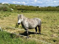 5. Reisetag – Wanderung auf der Halbinsel Mullaghmore