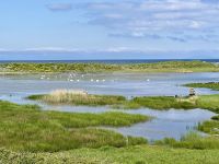 6. Reisetag – Aran Islands – Wanderung auf der Küstenstraße zum Steinfort Dun Aengus