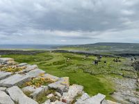 6. Reisetag – Aran Islands – Blick vom Steinfort Dun Aengus über die Insel Inishmore