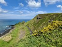 4. Reisetag – Ausflug nach Nordirland – Am Giant’s Causeway