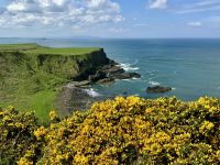 4. Reisetag – Ausflug nach Nordirland – Am Giant’s Causeway