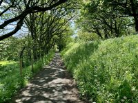 4. Reisetag – Ausflug nach Nordirland – Zusatzwanderung zum Runkerry Beach