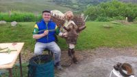 Paddy with the Donkey