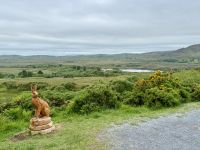 7. Reisetag – Wanderung im Connemara-Nationalpark