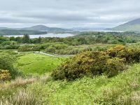 7. Reisetag – Wanderung im Connemara-Nationalpark