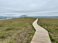 7. Reisetag – Wanderung im Connemara-Nationalpark
