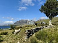 7. Reisetag – Fotostopp am Lough Inagh