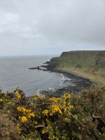 Giant's Causeway