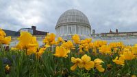 Belfast: Botanischer Garten