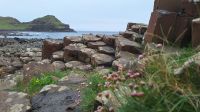 Giant's Causeway