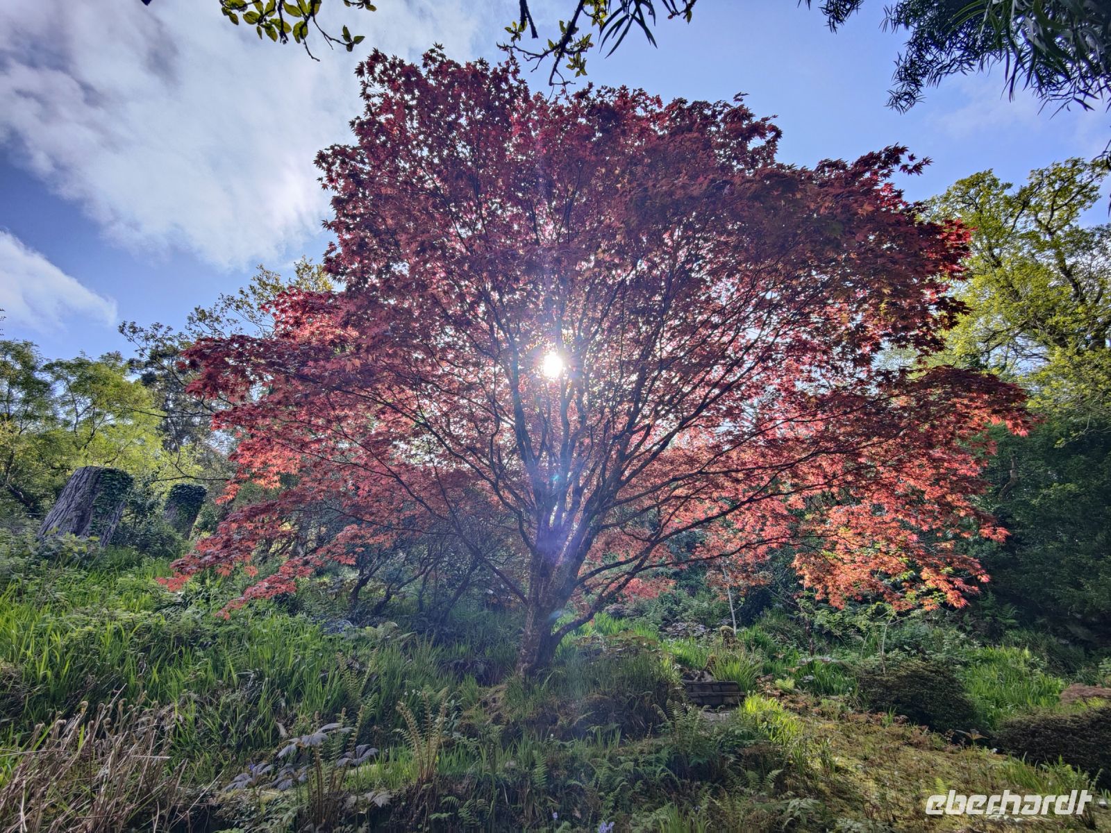 Glenveagh Nationalpark