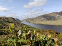Glenveagh Nationalpark