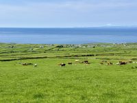 8. Reisetag – Tag im Burren – Wanderung auf dem Burren Way nach Fanore