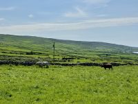 8. Reisetag – Tag im Burren – Wanderung auf dem Burren Way nach Fanore