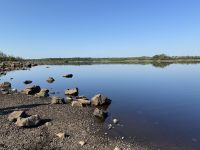 9. Reisetag – Waldspaziergang in „Coole Park“ – Turlough