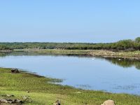 9. Reisetag – Waldspaziergang in „Coole Park“ – Turlough und wilde Schwäne