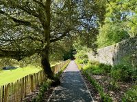 9. Reisetag – Waldspaziergang in „Coole Park“ – Walled Garden