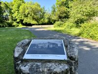 9. Reisetag – Waldspaziergang in „Coole Park“ – Hier stand Coole House