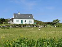 10. Reisetag – Ring of Kerry – Schafe am Steinfort Cahergal