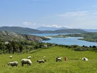 10. Reisetag – Ring of Kerry – Zusatzwanderung zum Derrynane Beach