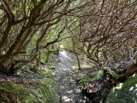 10. Reisetag – Ring of Kerry – Zusatzwanderung zum Derrynane Beach