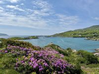 10. Reisetag – Ring of Kerry – Zusatzwanderung zum Derrynane Beach