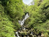 10. Reisetag – Ring of Kerry – Torc Waterfall im Killarney-Nationalpark