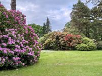 10. Reisetag – Ring of Kerry – Muckross House & Gardens im Killarney-Nationalpark