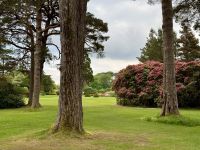 10. Reisetag – Ring of Kerry – Muckross House & Gardens im Killarney-Nationalpark