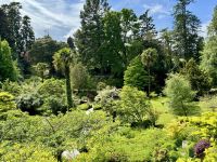 12. Reisetag – Besuch der Powerscourt Gardens – Japanischer Garten
