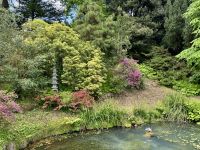 12. Reisetag – Besuch der Powerscourt Gardens – Japanischer Garten