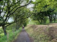 4. Reisetag – Ausflug nach Nordirland – Kleine Zusatzwanderung zum Runkerry Beach