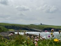 5. Reisetag – Von Letterkenny nach Leenane – Wanderung auf der Halbinsel Mullaghmore – Classiebawn Castle vor dem Ben Bulben