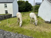 6. Reisetag – Wandern auf den Aran Islands