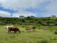 6. Reisetag – Wandern auf den Aran Islands