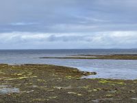 6. Reisetag – Wandern auf den Aran Islands – Mittagspause an der Robbenkolonie