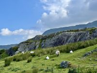 7. Reisetag – Tag in Connemara – Fotostopp am Rosroe Pier