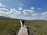 7. Reisetag – Tag in Connemara – Wandern im Nationalpark – Aufstieg auf den Diamond Hill