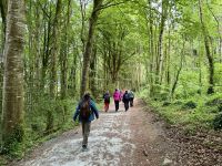 9. Reisetag – Von Gort nach Tralee – Kleine Wanderung im Coole Park