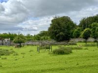 9. Reisetag – Von Gort nach Tralee – Kleine Wanderung im Coole Park