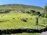 10. Reisetag – Ring of Kerry – Besuch beim Schäfer Tom
