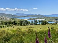 10. Reisetag – Ring of Kerry – Zusatzwanderung zum Derrynane Beach