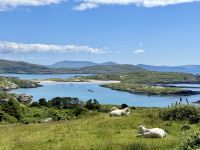 10. Reisetag – Ring of Kerry – Zusatzwanderung zum Derrynane Beach
