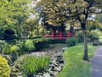 11. Reisetag – Von Tralee in die Wicklow Mountains – Irisches Nationalgestüt – Japanischer Garten