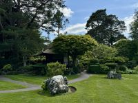 11. Reisetag – Von Tralee in die Wicklow Mountains – Irisches Nationalgestüt – Japanischer Garten